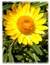 Infos über nachhaltige Geldanlagen, ethische Investments, grünes Geld, Sustainable bzw. Socially Responsible Investing SRI, die Kapital nach sozialen, ökologischen, ethischen und ökonomischen Kriterien anlegen, und deren Wirkung, Strategien, Grundlagen und Entwicklung sowie die Performancemessung von Aktienfonds (performance measurement)